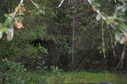 80 Thompson Rd, Hemingway, SC 29554