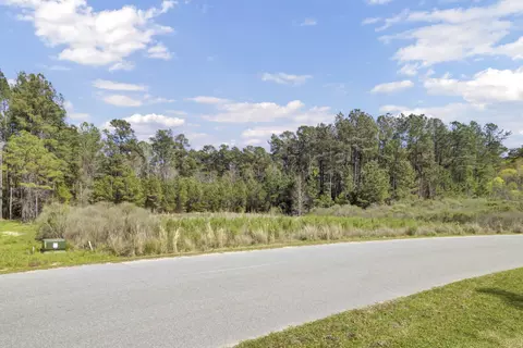 1319 Wood Sorrel Dr, Moncks Corner, SC 29461