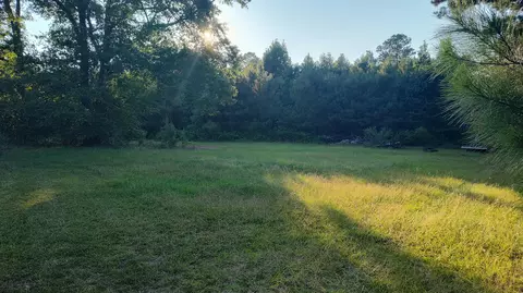 00 Davis Ter, Saint George, SC 29477
