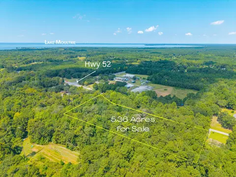 1047 Millies Way Dr, Moncks Corner, SC 29461