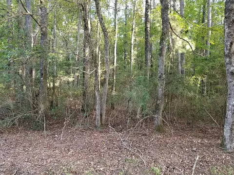 0 Buckhead Rd, Smoaks, SC 29481