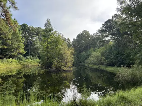 0 Providence Cir, Awendaw, SC 29429