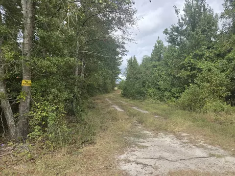 0 Blewer St, Cope, SC 29038 photo 9