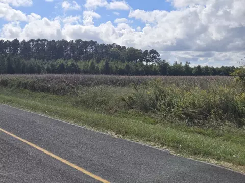 0 Blewer St, Cope, SC 29038 photo 5