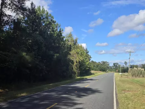0 Blewer St, Cope, SC 29038 photo 3