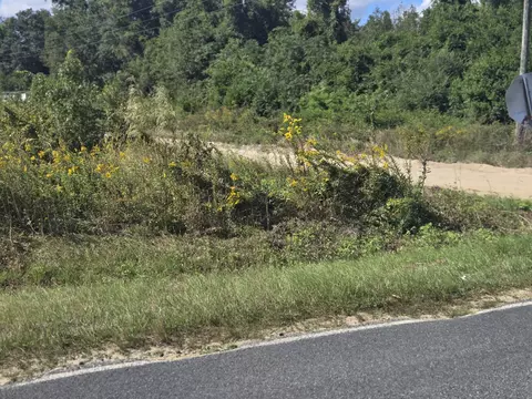 0 Blewer St, Cope, SC 29038 photo 6