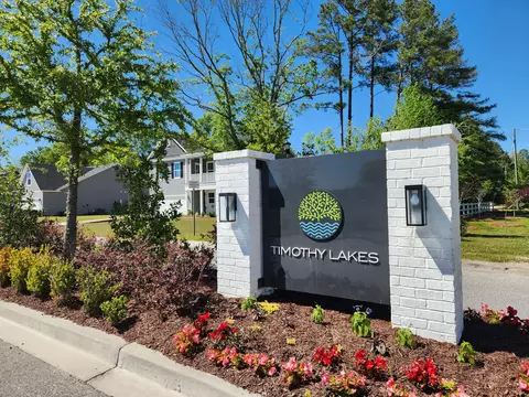 1540 Darby Meadow Ln, Ridgeville, SC 29472