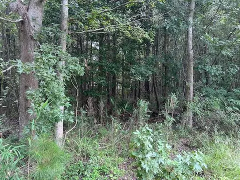 lot6 Sheep Island Rd, Summerville, SC 29486