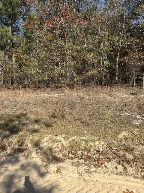 0 Hawthorne Trl, Saint Matthews, SC 29135