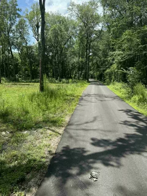 133 Boykin Ln, Ridgeville, SC 29472