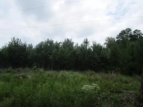 7905 Morris Bing Rd, Hollywood, SC 29449