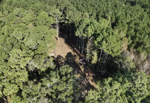 Other - 746 Dupre Rd, Mcclellanville, SC 29458 photo 3 of 4