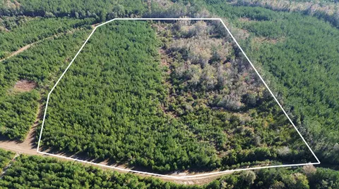 16 Hwy 311, Cross, SC 29436