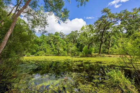 0 Thorn Chase Ln, Johns Island, SC 29455