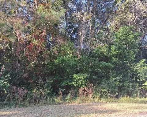 38-121 Hampton St, Elloree, SC 29047 photo 3