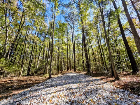3047 Fickling Hill Rd #C-1, Johns Island, SC 29455