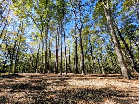 3047 Fickling Hill Rd #C-2, Johns Island, SC 29455
