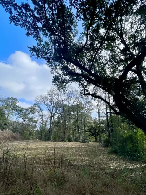 1962 Bradham Rd, Charleston, SC 29412