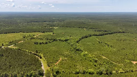 0 Cool Branch Rd, Chester, SC 29706