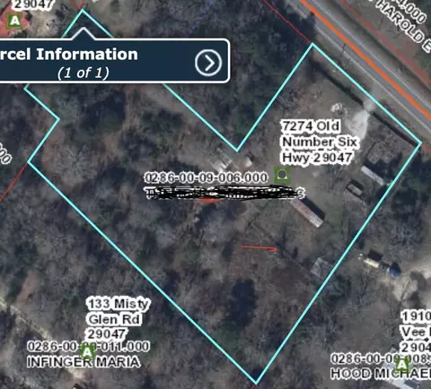 7274 Old Number Six Hwy, Elloree, SC 29047