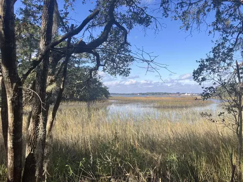 lot35 Josie Rdg, Wadmalaw Island, SC 29487