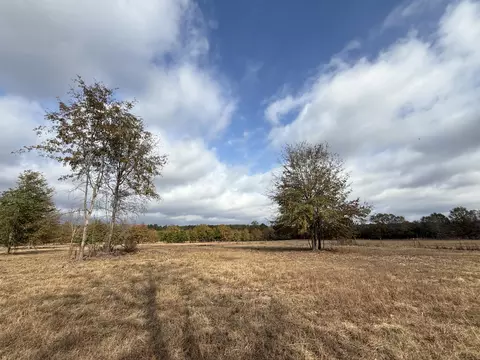 0000 Sc-39 Hwy, Williston, SC 29853