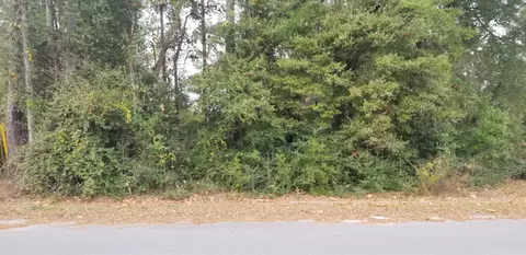 00000 N Lemacks St, Walterboro, SC 29488