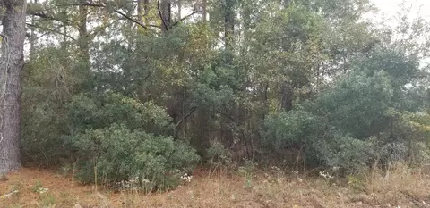 0 Rearden Ave, Walterboro, SC 29488
