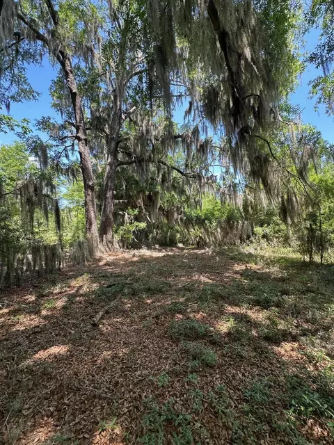 0 Willtown Rd, Hollywood, SC 29449