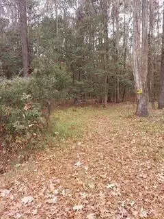 lot208 Prices Bridge Ln, Walterboro, SC 29488
