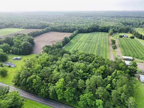 000 Cypress Campground Rd #LOT 4 & 5, Ridgeville, SC 29472