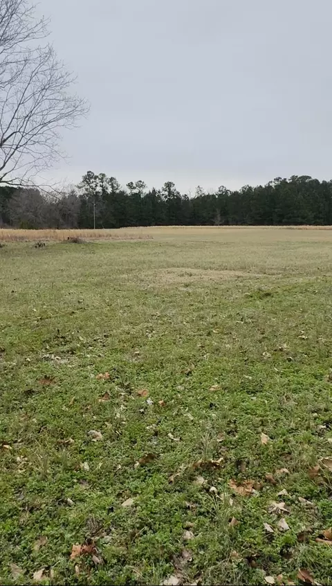 0 Bishopville Rd, Saint George, SC 29477