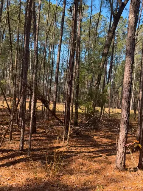 450 River Blf Trl, Saint Stephen, SC 29479