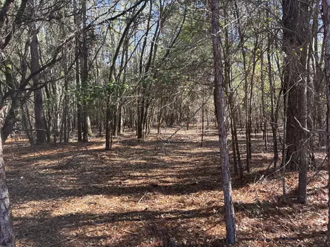 00 Tyler Rd, Orangeburg, SC 29115