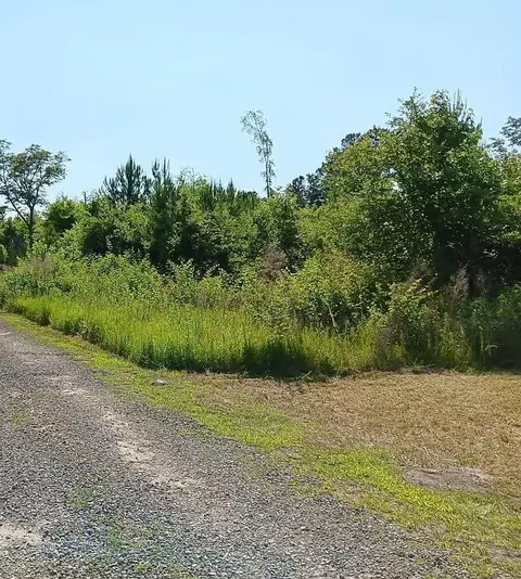 00 Primus Dr, Saint George, SC 29477