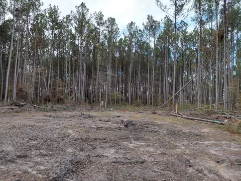 00 St Rd S-15-50 Bent Gate Ln, Walterboro, SC 29488