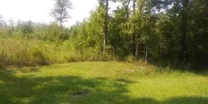 258 Truth Way #LOT 1, Cordesville, SC 29434