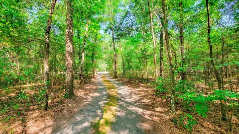 328 Sandy Springs Cir, Walterboro, SC 29488