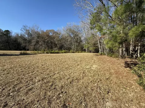0 Cameron Dr, Ridgeville, SC 29472