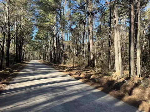 0 Brittlebank Rd, Walterboro, SC 29488