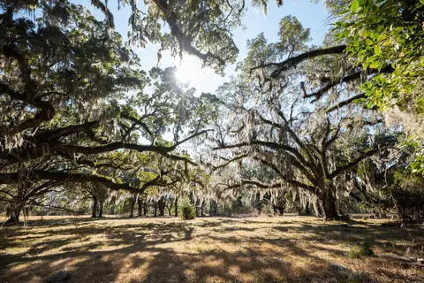 2 Mauricena Rd, Georgetown, SC 29440