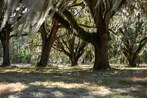 5 Mauricena Rd, Georgetown, SC 29440