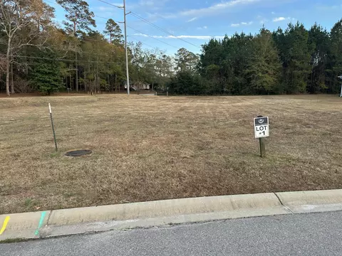 111 Sago Palm Dr, Orangeburg, SC 29118