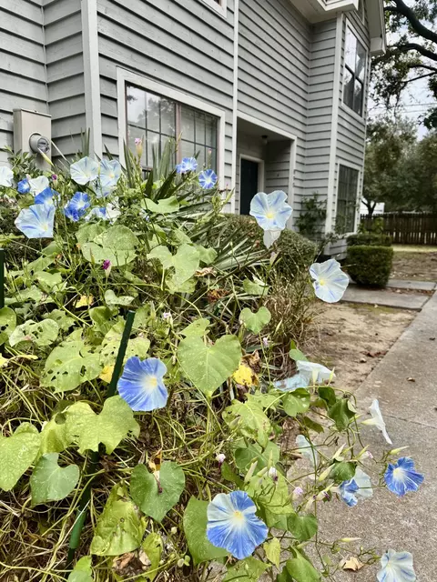 890 Sea Gull Dr, Mount Pleasant, SC 29464