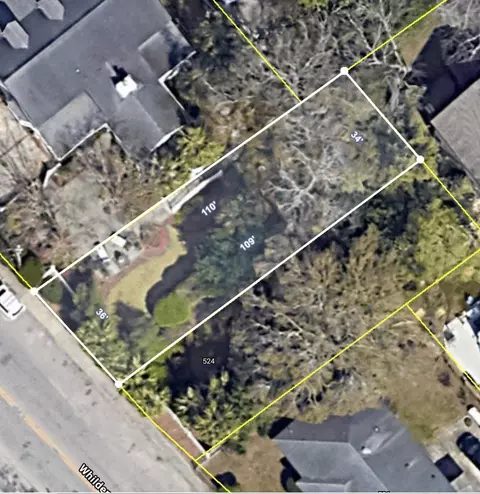 522 Whilden St, Mount Pleasant, SC 29464