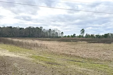 tbd Felderville Rd, Elloree, SC 29047