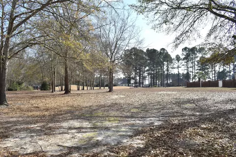 20 Lake Arbu Dr, Manning, SC 29102