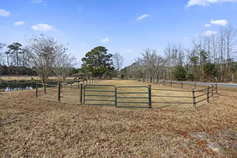 Exterior - 6293 Ehrhardt Rd, Ehrhardt, SC 29081 photo 18 of 19