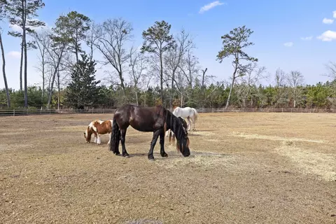 Other - 6293 Ehrhardt Rd, Ehrhardt, SC 29081 photo 10 of 11