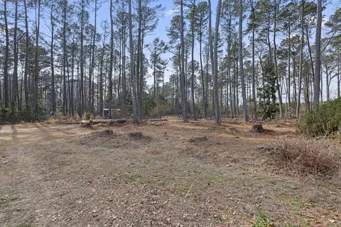 Exterior - 6293 Ehrhardt Rd, Ehrhardt, SC 29081 photo 14 of 19